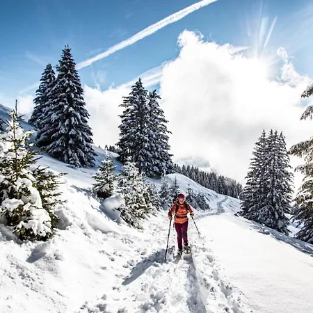 Perce Neige Pnb23 Nature & Family 4 Pers * Châtel
